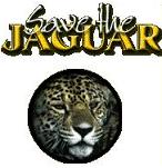 save the jaguar