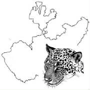 jaguarjalisco.jpg