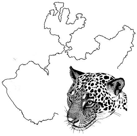 jaguarjalisco.jpg