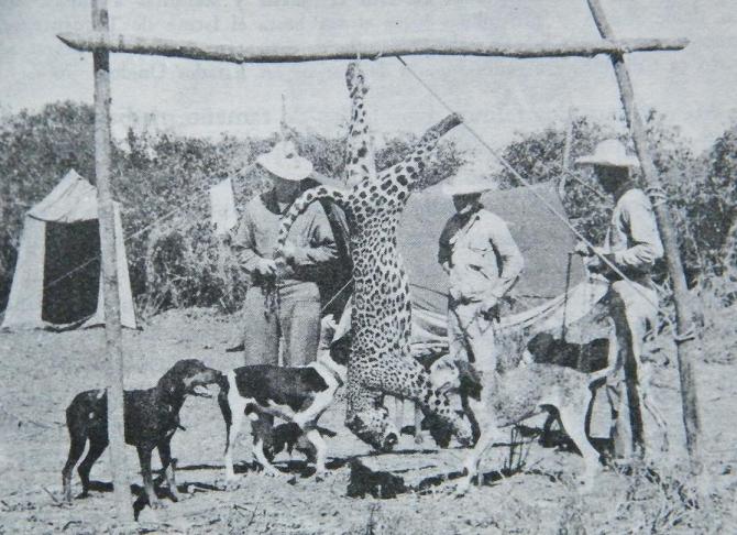 jaguarlee.jpg