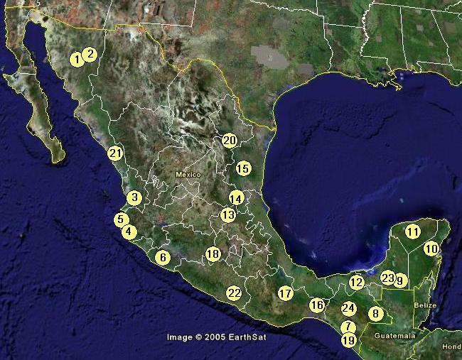 mexicoproyectos.jpg