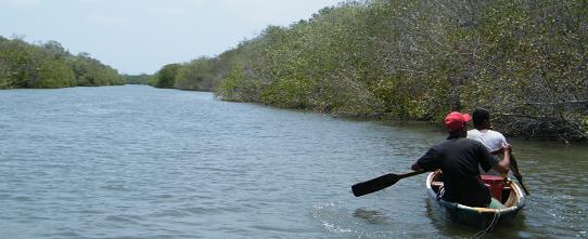 pescadores.jpg